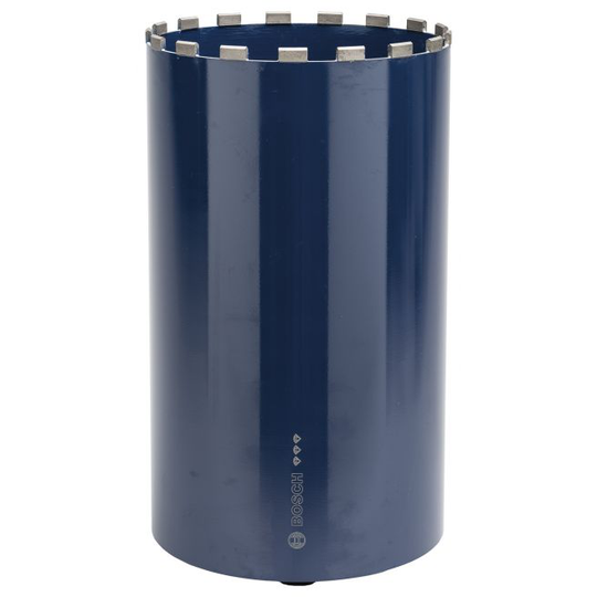 Bosch Diamantbor Våd 276x450mm 1 1/4t Best C - 2608601382