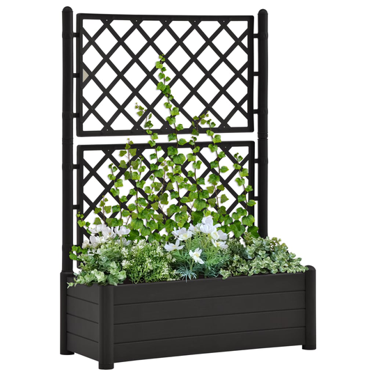 vidaXL plantekasse med espalier 100x43x142 cm PP antracitgrå