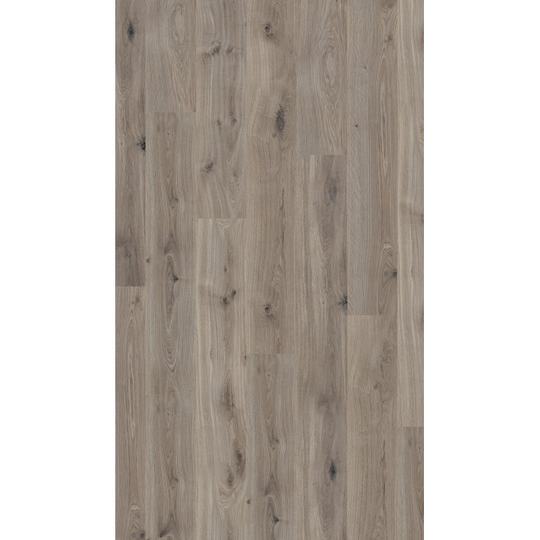 Parador Laminat Basic 400 Eg basaltgrå planke silkemat struktur Gulv