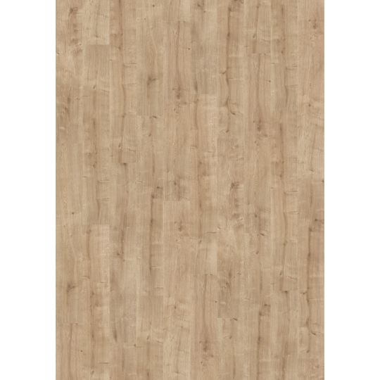 Parador Laminat Basic 400 Eg slebet silkemat struktur planke Gulv