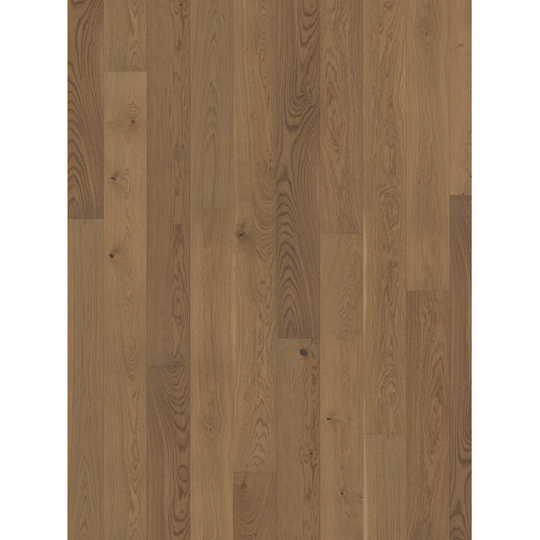 Parador Parket Trendtime 4 Living Eg nougat planke Living mat lak 4-sidet minifas Gulv