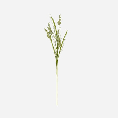 Gypsophila Hvid