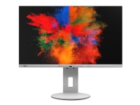 Fujitsu P2410 WE - LED-skærm - 24.1 - 1920 x 1200 WUXGA - IPS - 300 cd/m² - 1000:1 - 5 ms - HDMI, 2xDisplayPort, USB-C - højtalere - grå marmor