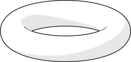 O-RING