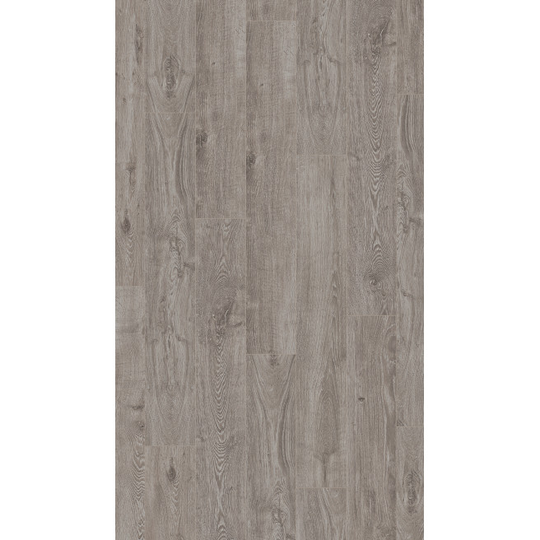 Parador Laminat Basic 400M4V Eg lysegrå silkemat struktur Gulv